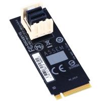 Gigabyte M.2 to U.2 Mini SAS Adaptor Card (M2-U2-MINISAS)