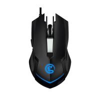 57691_thumb_P_1607551994362