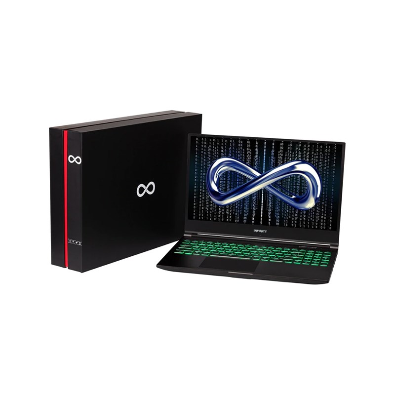 Infinity 15.6in QHD IPS 165Hz i7-10875H RTX3060P 512GB SSD 16GB W10H Gaming Laptop (O5-10R6N-888)