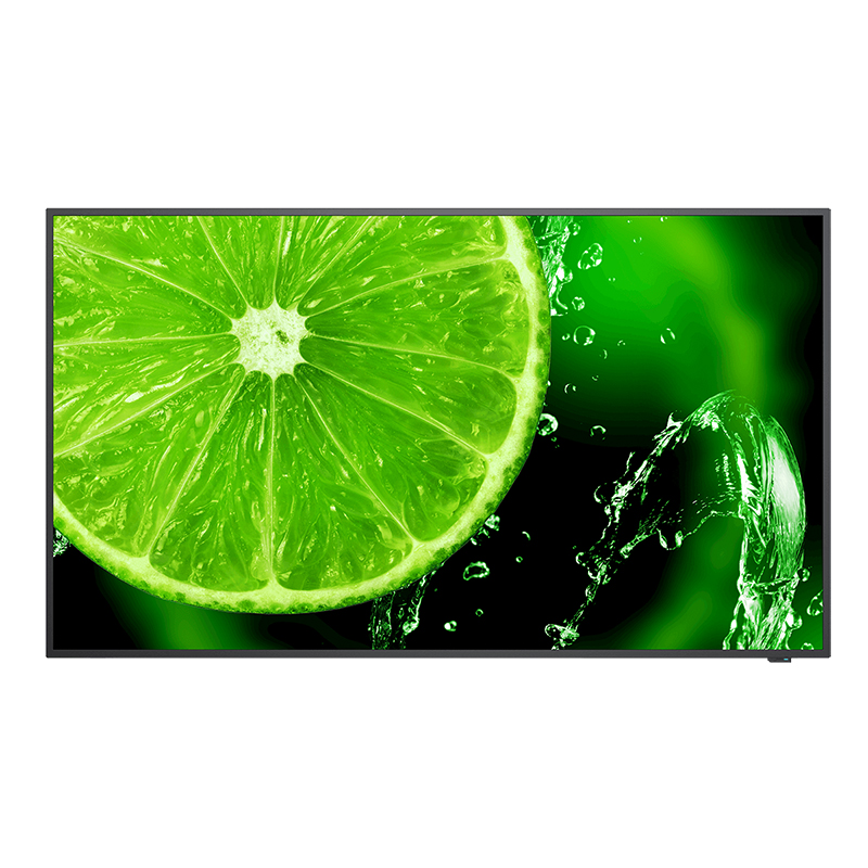 NEC 49in UHD IPS LCD Direct Lit with Speaker Monitor (E498)