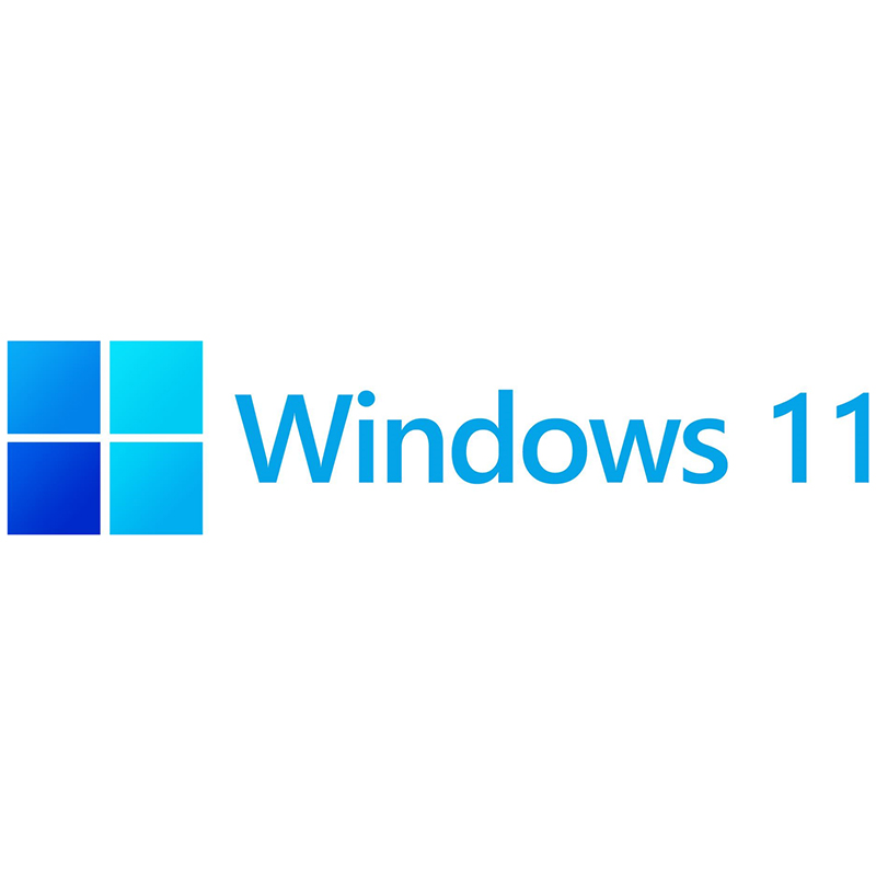 Microsoft Windows 11 Home 64bit OEM DVD (KW9-00632)