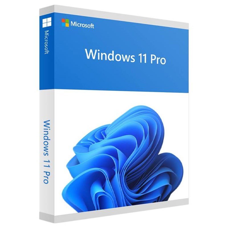 Microsoft Windows 11 Pro 64bit Retail USB (HAV-00163)