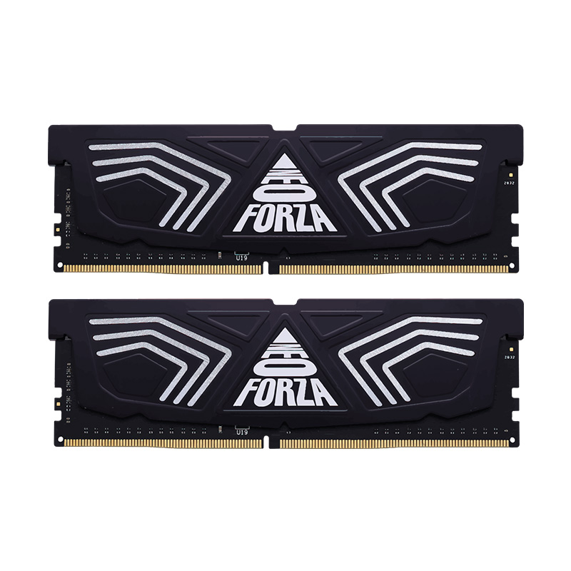 Neo Forza Faye 16GB (2x8GB) NMUD480E82-3600DG20 3600MHz DDR4 RAM - GRAY 