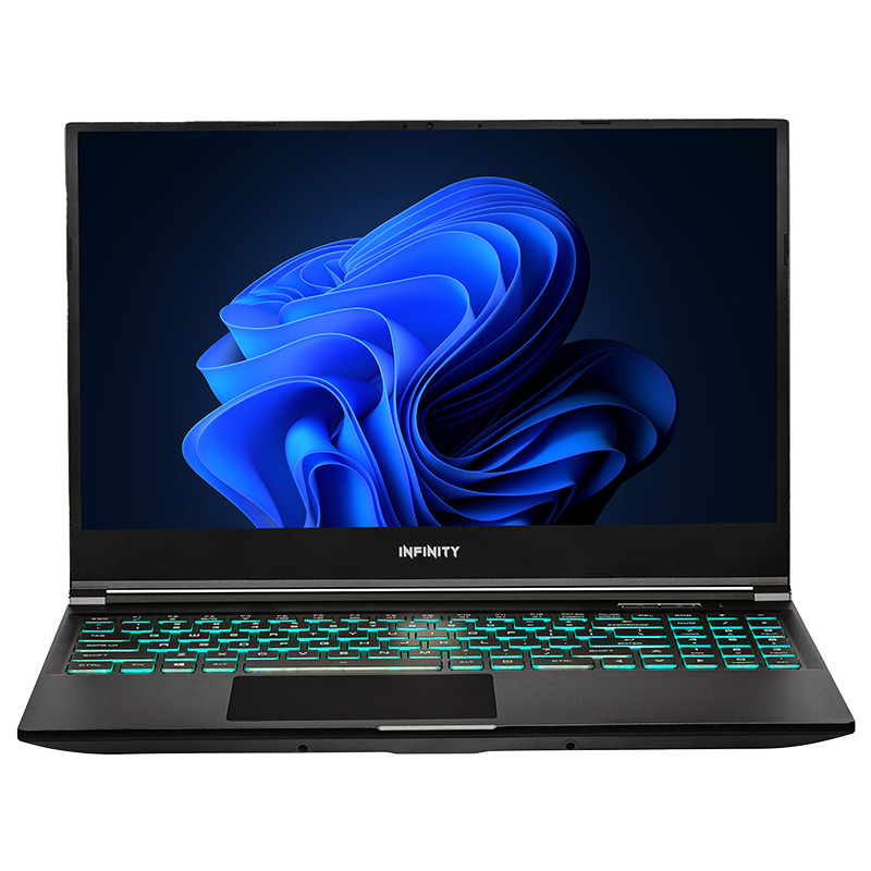 Infinity 15.6in FHD 165Hz i7-13650H RTX 4060 1TB SSD 16GB RAM W11H Gaming Laptop (O5-13R6A-899)