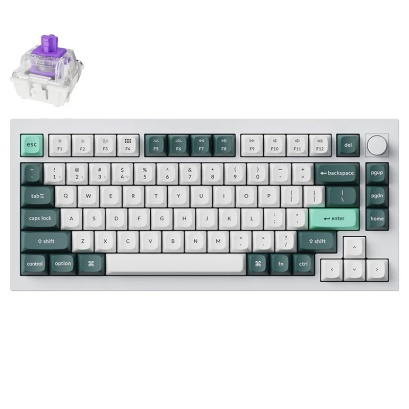 Keychron Q1 HE QMK Wireless Custom Fully Assembled Knob Gaming Keyboard with Gateron Double-Rail Magnetic Nebula Switch - Shell White (KBKCQ1HP1)