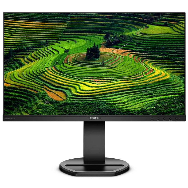 Philips 23.8in IPS FHD Monitor (241B8QJEB)