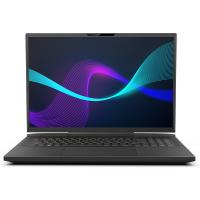 Infinity-Laptops-Infinity-17-3in-WQXGA-240Hz-i9-14900HX-RTX-4080-1TB-SSD-32GB-RAM-W11H-Gaming-Laptop-N7-14R8A-999-11