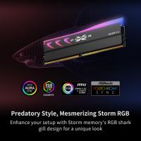 DDR5-RAM-SP-Silicon-Power-XPOWER-STORM-RGB-DDR5-32GB-2x16GB-6000MHz-Gaming-Memory-Supports-Intel-XMP-AMD-EXPO-CL30-UDIMM-Desktop-PC-Computer-RAM-Memory-White-24