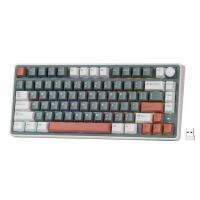 Keyboards-RK-ROYAL-KLUDGE-R75Pro-Mechanical-Keyboard-RGB-2-4Ghz-BT-Wired-Customized-Switches-Blue-Mixed-Color-1