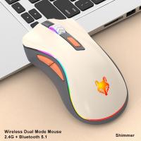 Dual Mode Wireless Mouse (2.4G + Bluetooth 5.1) with RGB Lighting - Rechargeable Silent Hybrid Office & Gaming Mouse, Ergonomic Design Gray 