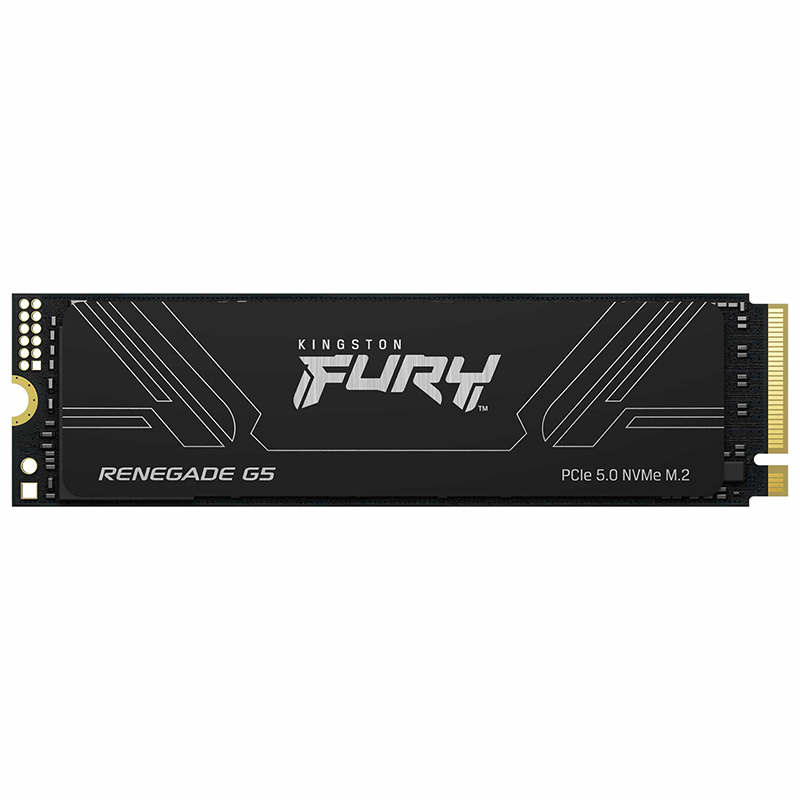 Kingston 4TB SFYR2S/4T0 Fury Renegade G5 M.2 2280 NVMe PCIe 5.0 SSD