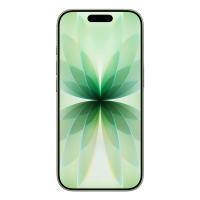Mobile-Phone-Apple-iPhone-17-256GB-Sage-MG6N4X-A-2