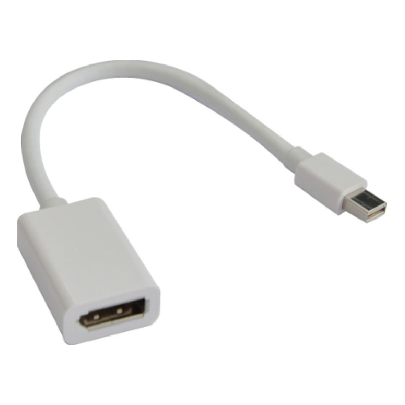 Astrotek Mini DisplayPort DP Male to DisplayPort DP Female Adapter Converter (AT-MINIDPP-MF)