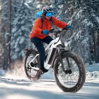 Electric-Bicycles-WOOKEN-26-x-4-0-Fat-Tire-Ebike-11