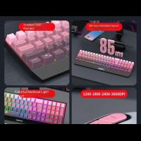Keyboard-Mouse-Combos-RAIKU-T85-gradient-color-game-keyboard-mouse-glowing-wired-glowing-keyboard-set-12