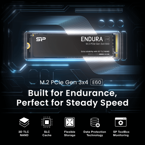SP Silicon Power E60 Endura 1TB Up to 2200MB/s, 3D TLC NAND, High Endurance Grade, Gen3x4 PCIe M.2 NVMe SSD Reliable Storage Upgrade for Laptop / PC