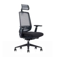 LDR ErgoLite Ultra Chair Premium Ergonomic Office Chair (ERGOLITE-ULTRA-BLACK)