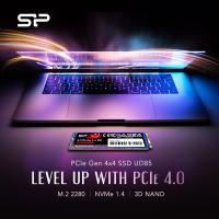 SSD-Hard-Drives-Silicon-Power-UD85-250GB-R-W-3600-2400MB-s-PCIe-NVMe-Gen-4x4-M-2-SSD-SP500GBP44UD8505-29