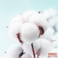 49c5ab04cc30ed35-w_200